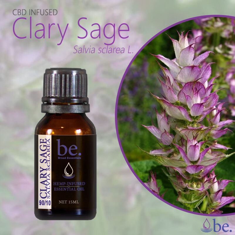 CBD Essential Oil - Clary Sage - Image 2